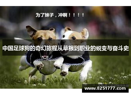 中国足球狗的奇幻旅程从草根到职业的蜕变与奋斗史