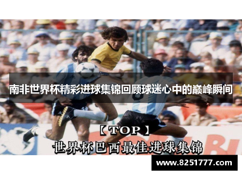 南非世界杯精彩进球集锦回顾球迷心中的巅峰瞬间