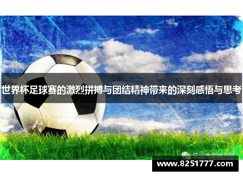 世界杯足球赛的激烈拼搏与团结精神带来的深刻感悟与思考