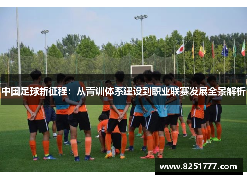 中国足球新征程：从青训体系建设到职业联赛发展全景解析